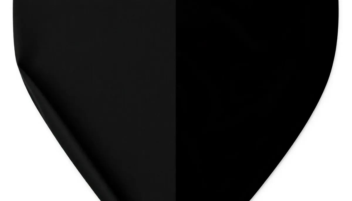 Comparaison visuelle entre un vêtement noir délavé et un vêtement noir ravivé